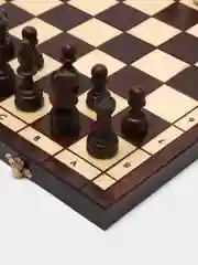 Шахматы турнирные, гроссмейстерские, деревянные 42 х 42 см