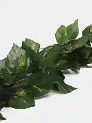 Лайм декоративные лианы. Искусственные цветы