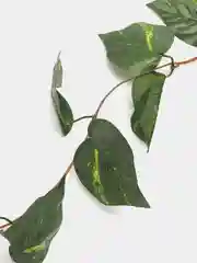 Лайм декоративные лианы. Искусственные цветы