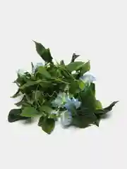Голубой искусственные цветы: лиана, лоза цветущая, петуния