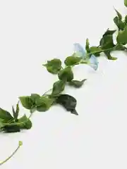 Голубой искусственные цветы: лиана, лоза цветущая, петуния