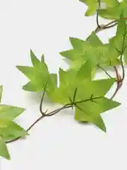 Лесной зеленый декоративные лианы. Искусственные цветы