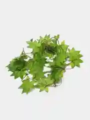Лесной зеленый декоративные лианы. Искусственные цветы