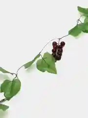 Бордовый искусственные цветы: имитация винограда, вишни, лианы