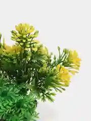 Лимонный растения искусственные, декоративные, для маленького аквариума, от 5 до 13 см, 43 вида