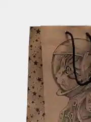 Пакет подарочный "Space Cat", крафт