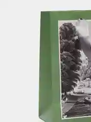 Зеленый пакет подарочный "Ассорти"