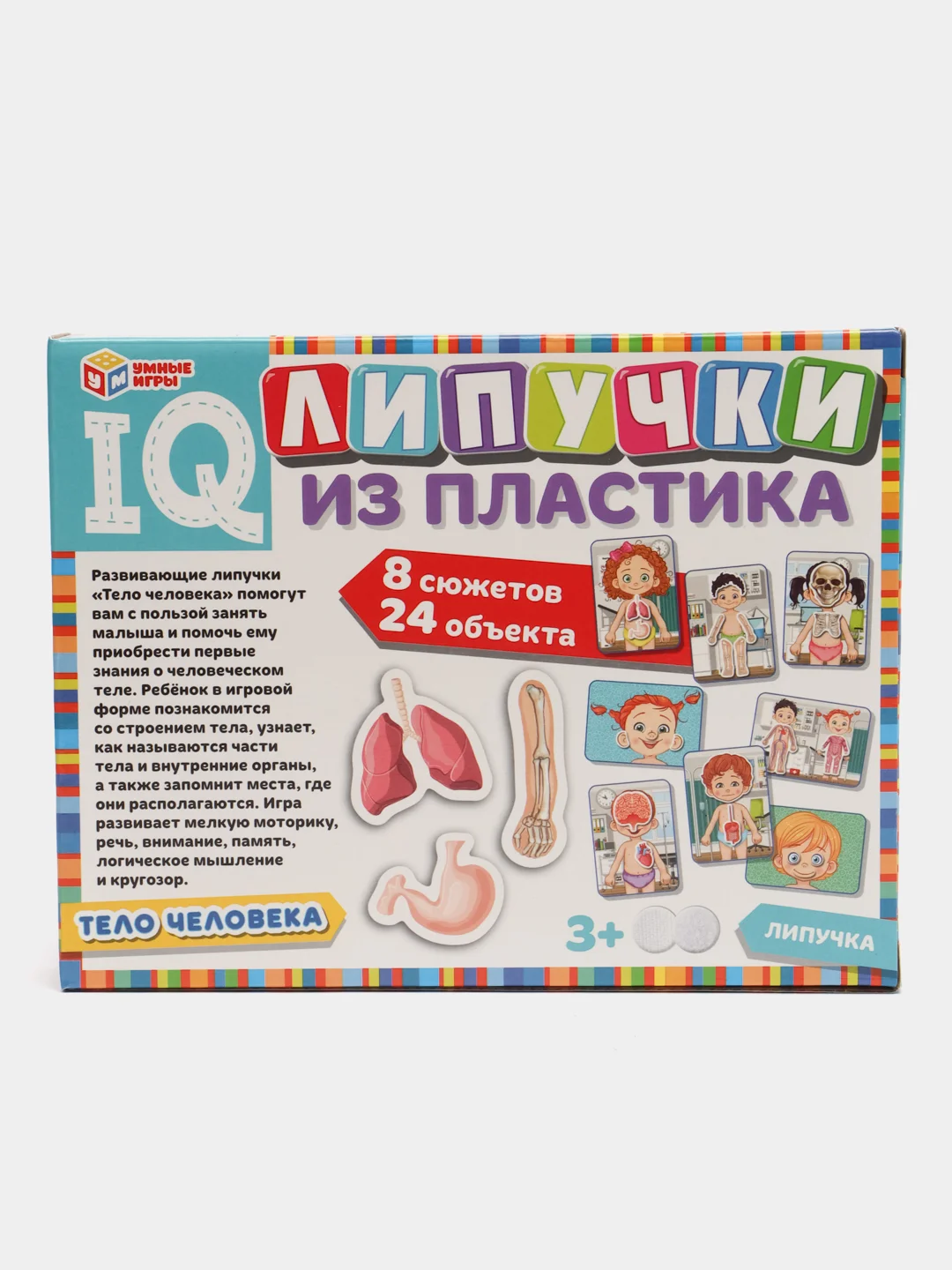 Настольная игра Умные игры Тело человека,  IQ-липучки из пластика, 230х180х45 мм