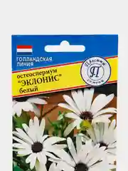 Семена цветов Остеоспермум "Эклонис" белый