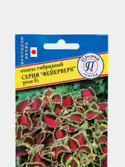 Семена цветов Колеус "Фейерверк. Роза"