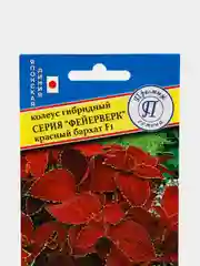 Семена цветов Колеус "Красный бархат", серия Фейерверк