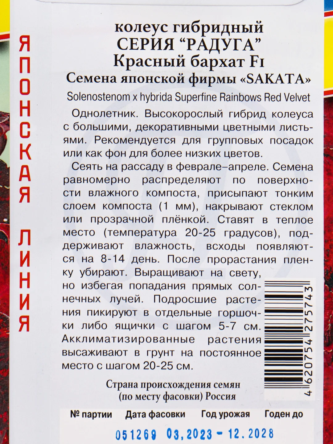 Семена цветов Колеус "Красный бархат", серия Радуга