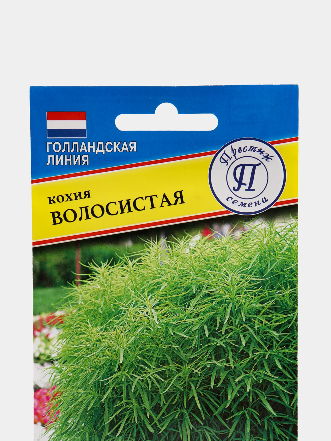 Семена Кохия "Волосиситая"