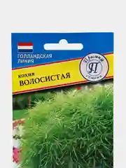 Семена Кохия "Волосиситая"