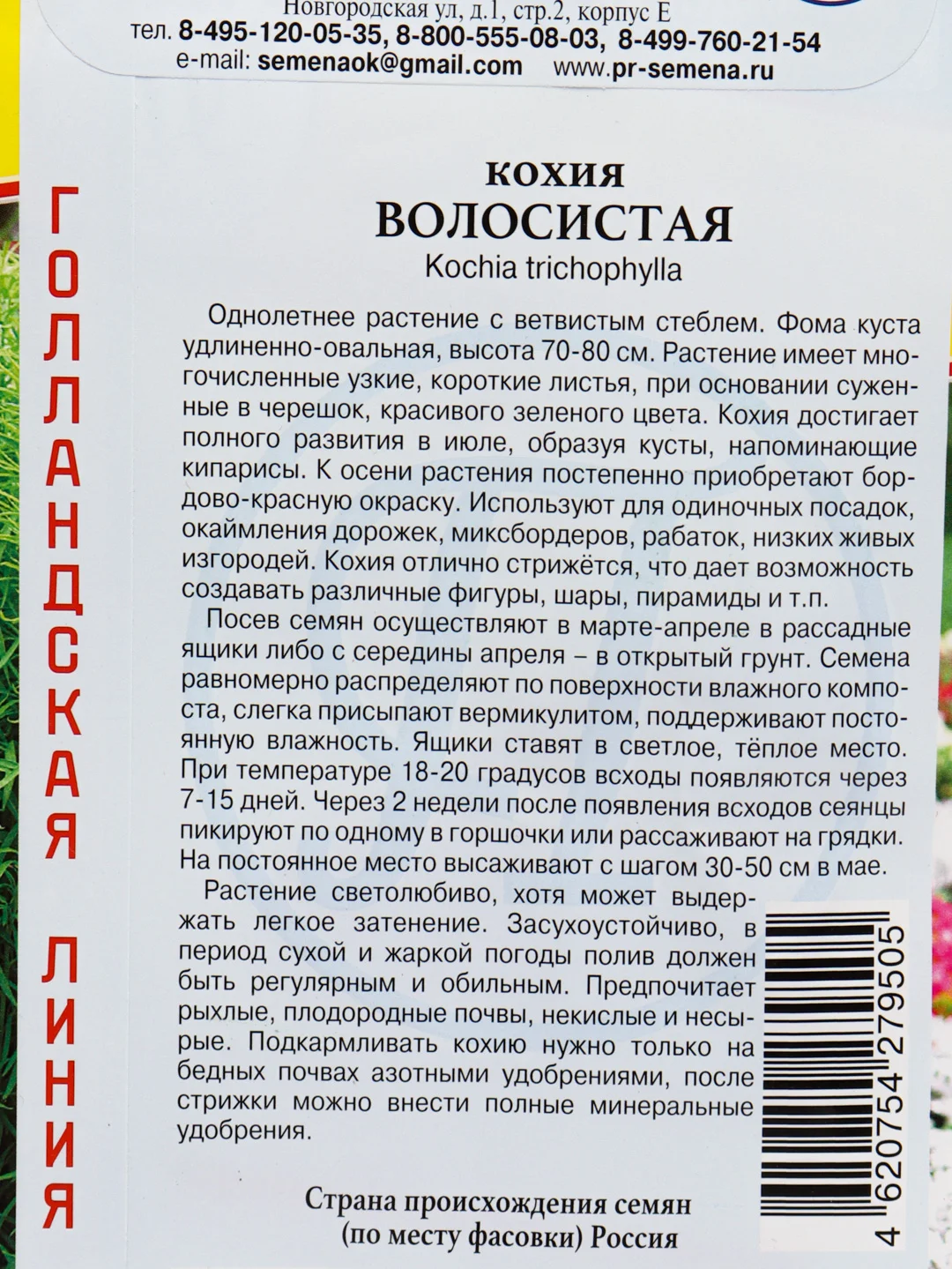 Семена Кохия "Волосиситая"