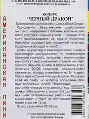 Семена цветов Колеус "Черный дракон"