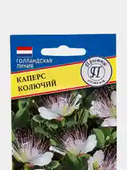 Семена цветов Каперс колючий