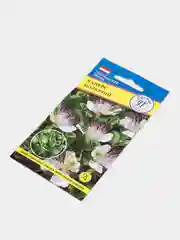 Семена цветов Каперс колючий