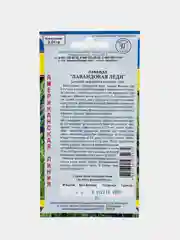 Семена цветов Лаванда "Лавандовая леди"