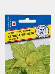 Семена цветов Колеус "Фейерверк Лимон"
