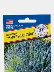 Семена цветов Лаванда "Манстид стрейн"