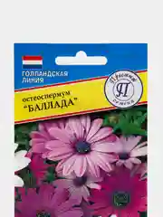 Семена цветов Остеоспермум "Баллада"