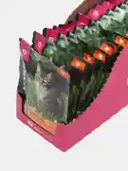 Влажный корм ALL CATS (Олл Кэтс), тефтельки с индейкой в соусе, 0,085 кг, 28 штук