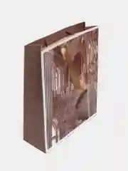Медный пакеты подарочные "Искусство"
