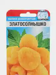 Семена Малина "Златосолнышко"