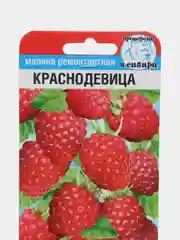 Семена Малина "Краснодевица"