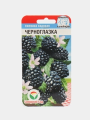 Семена Ежевика "Черноглазка"