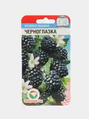 Семена Ежевика "Черноглазка"