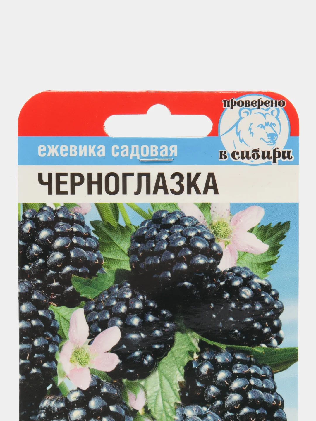 Семена Ежевика "Черноглазка"