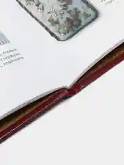 Книга "Цветы. Объемная вышивка лентами. Иллюстрированный самоучитель"