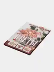 Книга "Цветы. Объемная вышивка лентами. Иллюстрированный самоучитель"