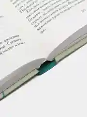 Книга "Гипсовый трубач. Дубль два", роман