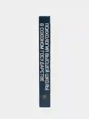 Книга Психология высшей школы в Союзном государстве. Учебно-методическое пособие для вузов