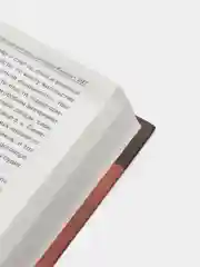 Книга "Образование великорусского государства. Белорусская православная церковь"