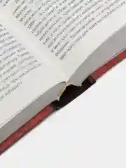Книга "Образование великорусского государства. Белорусская православная церковь"