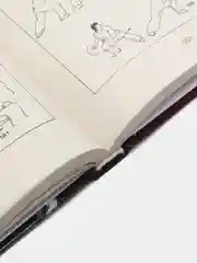 Книга "Боевые искусства: Китайский кулак, самоучитель, энциклопедический справочник"