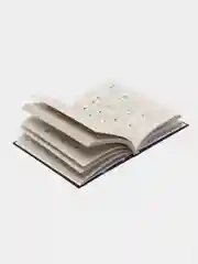 Книга "Боевые искусства: Китайский кулак, самоучитель, энциклопедический справочник"