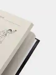Книга "Боевые искусства: Китайский кулак, самоучитель, энциклопедический справочник"