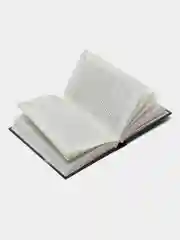 Книга "Фокусник", Жан-Марк Сувира