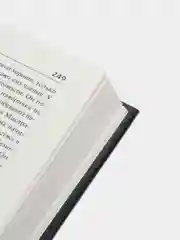 Книга "Фокусник", Жан-Марк Сувира