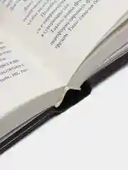 Книга "Фокусник", Жан-Марк Сувира