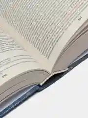 Книга "Энциклопедический психологический словарь-справочник. Учебно-методическое пособие"
