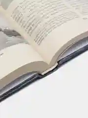 Книга "Российский флот в Великой войне 1914-1918 гг. Военная история"
