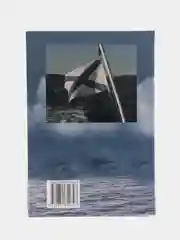 Книга "Российский флот в Великой войне 1914-1918 гг. Военная история"