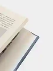 Книга "Российский флот в Великой войне 1914-1918 гг. Военная история"