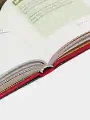 Кулинарная книга "Пироги и кое-что еще 2. Сборник рецептов", Ирина Чадеева